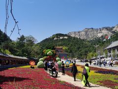 -大芦花风景区