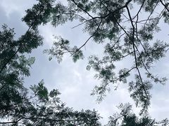 -白石龙音乐公园