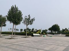 -东疆建设开发纪念公园