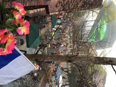东部华侨城瀑布酒店-深圳东部华侨城瀑布酒店