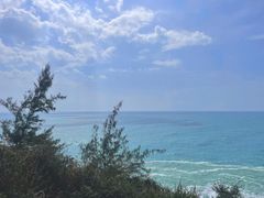 -广东惠东海龟国家级自然保护区