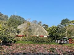 -野象谷景区