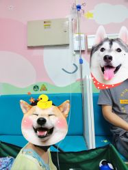 -首都儿科研究所附属儿童医院