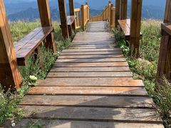 -白草畔自然风景区