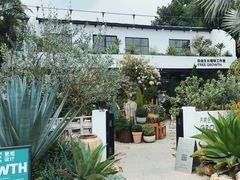 -自由生长植物工作室(深港花卉中心店)