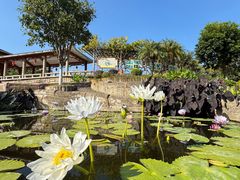 -广州莲花山旅游区