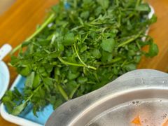 -琼菜人家·海南菜·文昌鸡(文昌大道店)