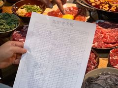 -阳阳老火锅(小南门店)