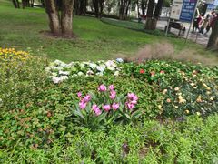 -重庆市江北嘴中央商务区中央公园