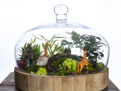 -荷兰布尔玛国际花艺学院