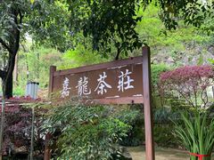 -嘉龙茶庄