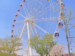 -顾村公园
