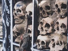 -比如骷髅墙景区