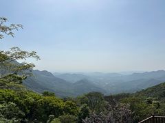 -广州市石门国家森林公园
