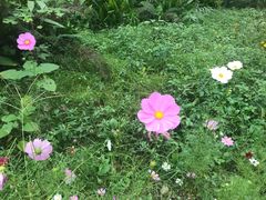 -桤木河湿地公园