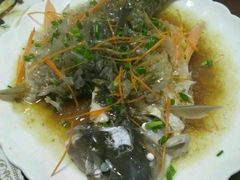 -悠悠美食