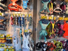 -爪吧宠物乐园 (温榆河示范区店)