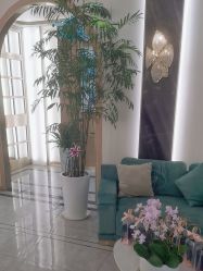 -雅曼妮spa美容养生