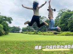 -南宁良凤江国家森林公园