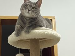 -拾光甜品自助·意面小食(太古里总店)