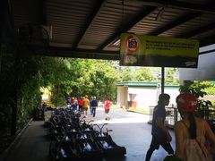 -圣淘沙天际线斜坡滑车