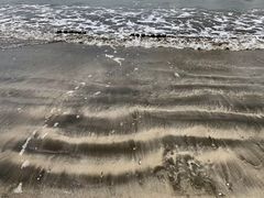 -那琴半岛地质海洋公园