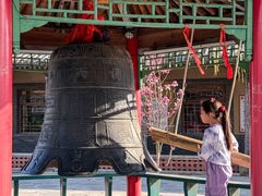 -河北村民俗体验园