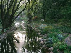 -上海共青森林公园