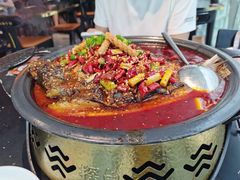 -探鱼·鲜青椒爽麻烤鱼(沈阳万象城店)