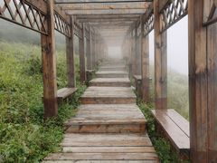 -白草畔自然风景区