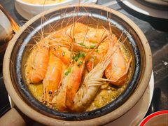 -新白鹿餐厅(虹桥南丰城店)