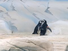 -上海海洋水族馆