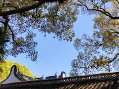 -上海醉白池公园