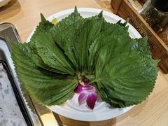 -千纸鹤嫩汁烤肉(西大直街店)