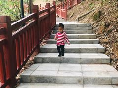 -南国桃园旅游度假区