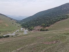 -大姆山草场