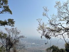 -神光山国家森林公园