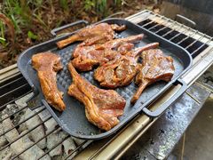 -吴淞炮台湾湿地森林公园烧烤区