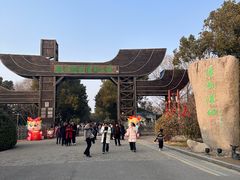 -溱湖国家湿地公园