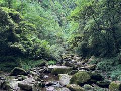 -碧峰峡风景区