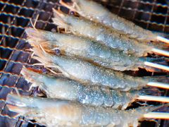 -白仁仔· 活烤海鲜 宵夜(豫园店)