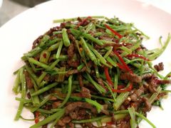 香菜炒牛肉丝-石头咕(葵蓬店)