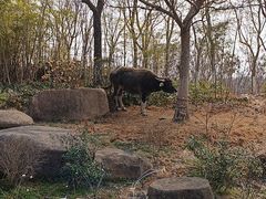 -茅山东方盐湖城景区