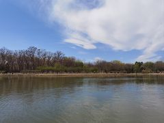 -大兴滨河森林公园