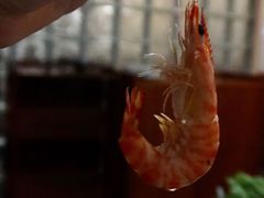 -凯华海鲜火锅·传承三十六年