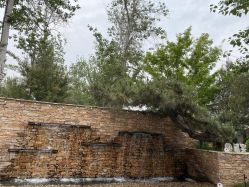 -禧园Joyous Garden ·宴会厅(禧园店)