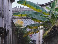 -前童古镇