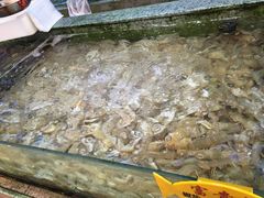-快乐海鲜城(虎泉街店)