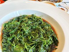 -上海总会SHANGHAICLUB(兴业太古汇店)
