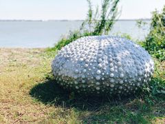 -上海滴水湖皇冠假日酒店